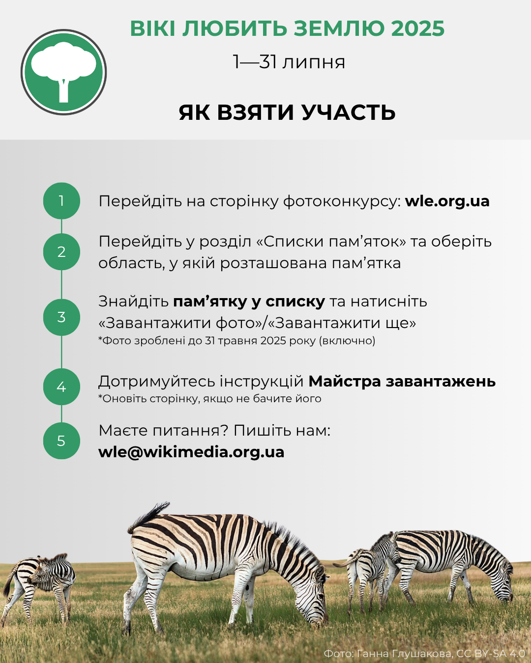 Це зображення є інструкцією щодо участі у конкурсі "ВІКІ ЛЮБИТЬ ЗЕМЛЮ 2025", який проходить з "1—31 липня".  Кроки участі:  "Перейдіть на сторінку фотоконкурсу: wle.org.ua"  "Перейдіть у розділ «Списки пам'яток» та оберіть область, у якій розташована пам'ятка"  "Знайдіть пам'ятку у списку та натисніть «Завантажити фото»/«Завантажити ще»"  "*Фото зроблені до 31 травня 2025 року (включно)"  "Дотримуйтесь інструкцій Майстра завантажень"  "*Оновіть сторінку, якщо не бачите його"  "Маєте питання? Пишіть нам: wle@wikimedia.org.ua"  У нижній частині зображення розміщено фото трьох зебр, які пасуться, з посиланням на автора: "Фото: Ганна Глушакова, CC BY-SA 4.0".
