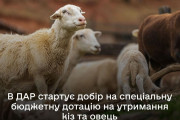 В ДАР стартує добір на спеціальну бюджетну дотацію