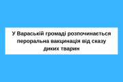У Вараській громаді розпочинається пероральна вакцинація диких тварин від сказу