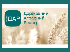 У ДАР проводиться опитування про державну підтримку для страхування озимих зернових