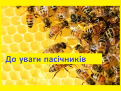 До уваги пасічників та аграріїв Вараської громади