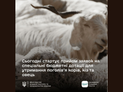 До уваги аграріїв, які утримують поголів'я корів, кіз та овець