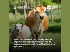 Уряд продовжив підтримку малих аграріїв на оброблення земель та утримання великої та дрібної рогатої худоби