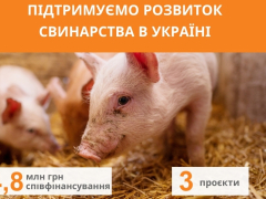 14,8 млн грн співфінансування проєктів розвитку свинарства USAID АГРО