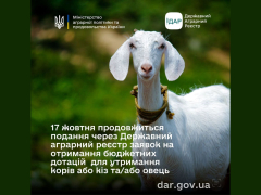 До уваги аграріїв — оголошується прийом заявок на спеціальні бюджетні дотації