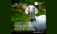 До уваги аграріїв — оголошується прийом заявок на спеціальні бюджетні дотації